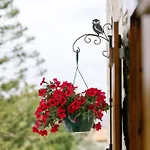 Stonehouse With Private Swimming Pool * Пафос