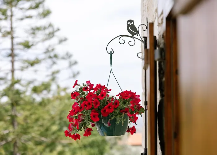 Stonehouse With Private Swimming Pool * Paphos